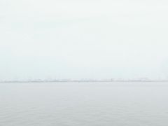 -大湾区中央湿地公园