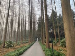 -上海怡沁园度假酒店