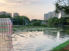 -白塘生态植物园