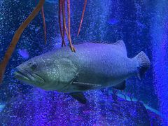 -沈阳海洋探索中心