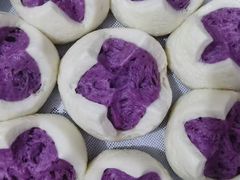 -天鹅到家·保姆月嫂育儿嫂(总店)