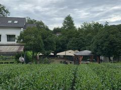 -自在弥林花园餐厅(云栖店)