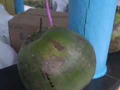 -南宫温泉水世界