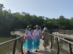 -南湾湖