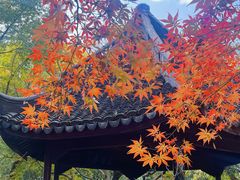 -上海醉白池公园