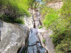 -王顺山国家森林公园