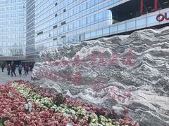 -中国人民解放军总医院(301医院)