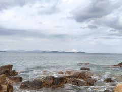 -杨梅坑