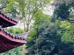 -韬光茶庵
