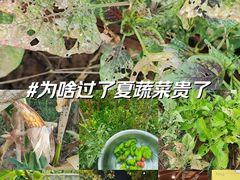 -江苏第二师范学院(草场门校区)