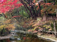 -关门山森林公园