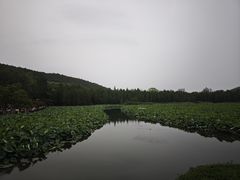 -云龙湖旅游景区