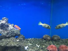 海珊瑚主题餐厅(湛江店)-御唐府海珊瑚主题餐厅