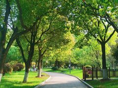 -绍兴镜湖国家城市湿地公园