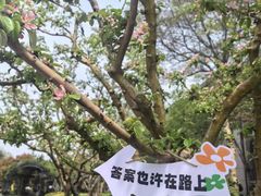 -青岛鑫江温德姆酒店