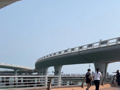 -演武大桥观景平台