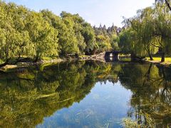 -上海共青森林公园