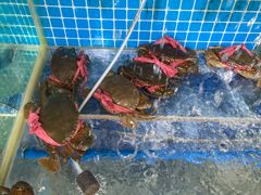 -范饭椰林川湘味海鲜·椰子鸡(三亚湾椰梦长廊店)
