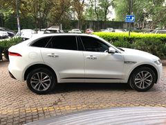 -XPEL（大望路超级旗舰店）(国贸店)