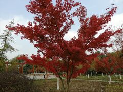 -江南大学(蠡湖校区)
