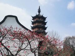 -红梅公园