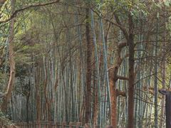 -敬亭山风景名胜区