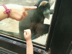 android_upload_pic-石家庄市动物园