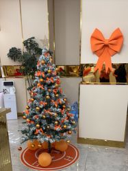 -CICI纤美·科技减肥美容