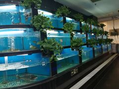水产区-王家渡火锅店(棕榈泉店)