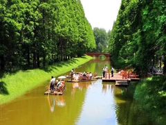 -黄海国家森林公园