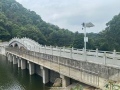 -红山村