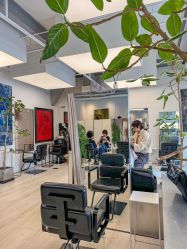 -Hair  Gallery