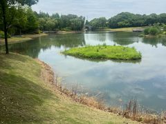 -尚贤河湿地