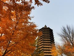 -玲珑塔公园