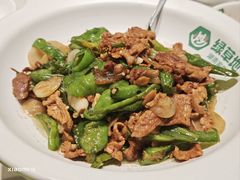 -绿草地·湘菜(芙蓉天街店)