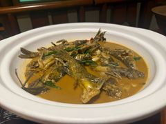-杨厨·田园饭店(长城路店)