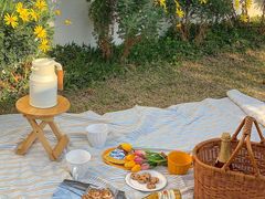 -合肥滨湖国家森林公园