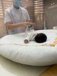 -宝生月子中心·独栋独院式(南山店)