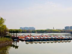 -大兴滨河森林公园