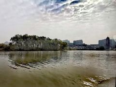 -太湖龙之梦