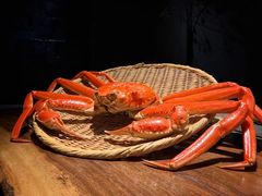 -桐寿司Sushi Tong