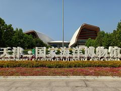 -贝林大翅鲸简餐厅(国家海洋博物馆店)