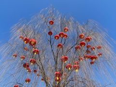-八大处公园