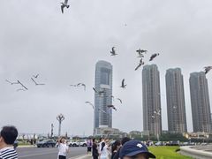 -星海广场