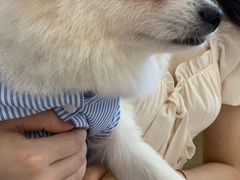 -怪兽屋·羊驼·猫咖·狗咖(俊华广场店)