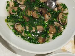 荠菜草菇烩虾仁-和记小菜(东方店)