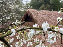 -中国茶叶博物馆(双峰馆区)