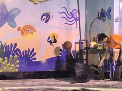 -太平洋海底世界