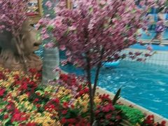 -天山海世界·米立方