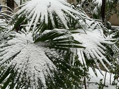 -湖北美术学院(昙华林校区)